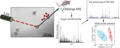 Live Single-Cell Metabolomics With Matrix-Free Laser/Desorption Ionization Mass Spectrometry to Address Microalgal Physiology